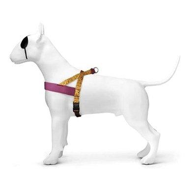 Morso Norwegian Hondentuig Gerecycled Jungle Drum Oranje