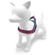 Morso Norwegian Hondentuig Gerecycled Power Flow Zwart