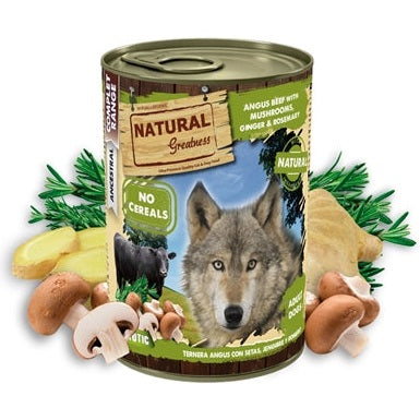Natural Greatness Angus Beef / Mushrooms / Ginger / Rosemary
