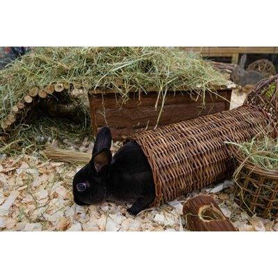 Nature First Happy Pet Wilgen Tunnel