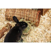 Nature First Happy Pet Wilgen Tunnel