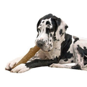 Petstages Dogwood Durable Stick