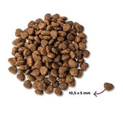 Renske Super Premium Adult Kip Graanvrij Hypoallergeen