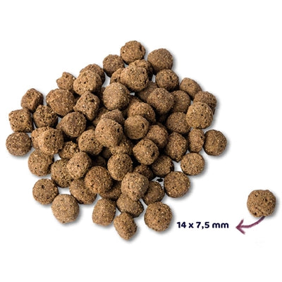 Renske Super Premium Adult Oceaanvis Hypoallergeen 12 Kg