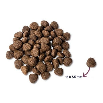 Renske Super Premium Adult Zalm Graanvrij Hypoallergeen