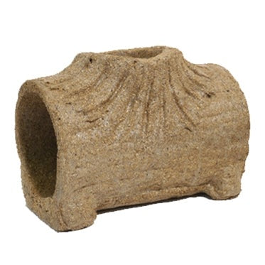 Rosewood Eetbare Speel Boomstam