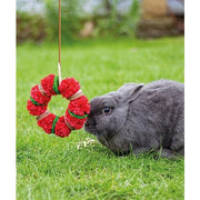 Rosewood Speelkrans Knaagdier