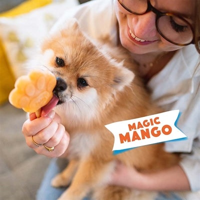 Smoofl Ijsmix Voor Honden Mango