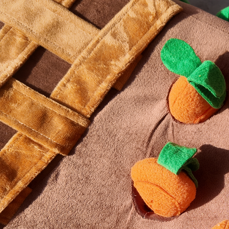 Snuffelmat De Wortel Kampioen