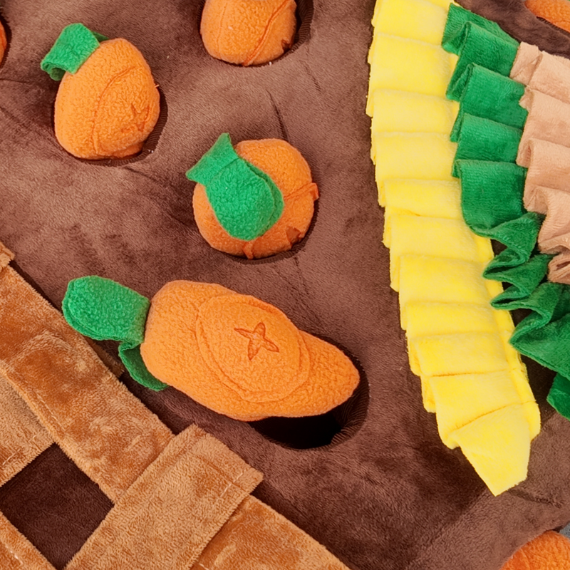 Snuffelmat De Wortel Kampioen