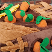 Snuffelmat De Wortel Kampioen