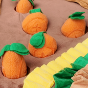 Snuffelmat De Wortel Kampioen