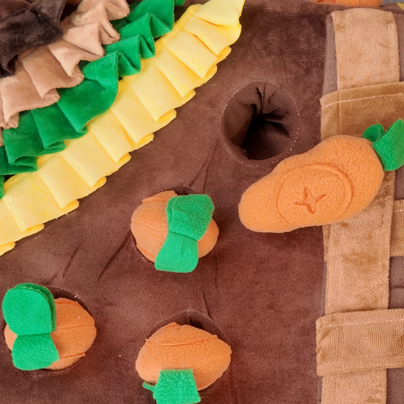 Snuffelmat De Wortel Kampioen