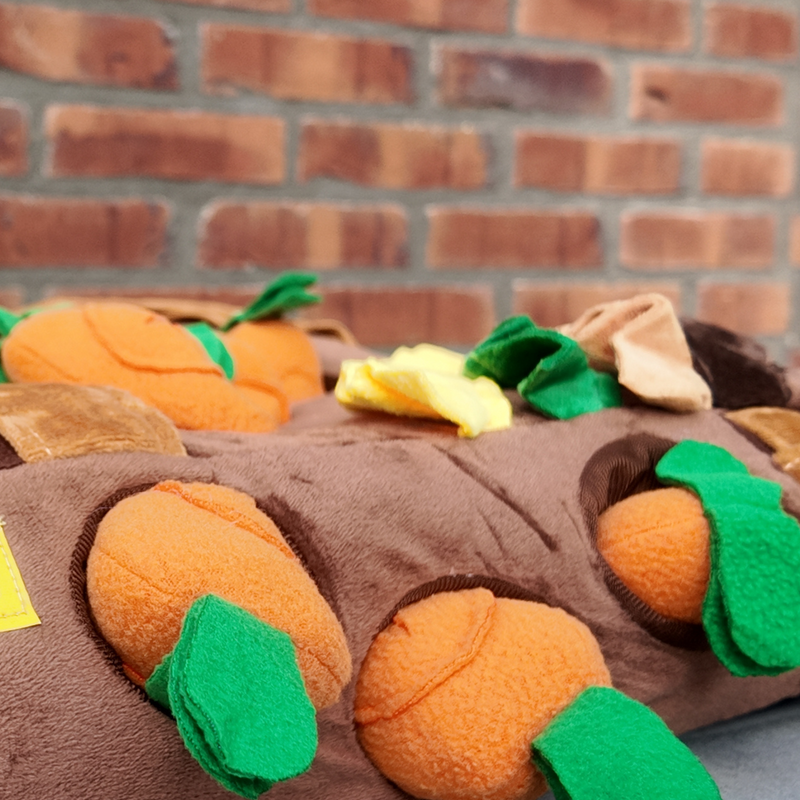 Snuffelmat De Wortel Kampioen