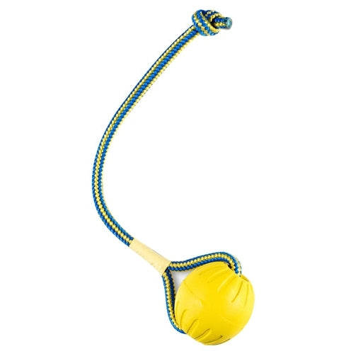 Starmark Swing 'N Fling Durafoam Fetch Bal Aan Koord