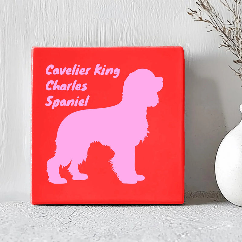 Tegel - Cavalier King Charles Spaniël