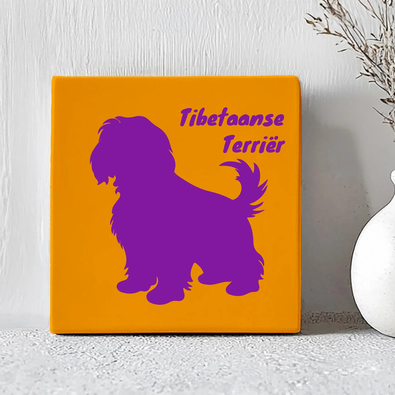 Tegel Tibetaanse Terriër