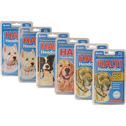 The Company Of Animals Company Of Animals Halti Headcollar Zwart