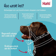 The Company Of Animals Company Of Animals Halti Headcollar Zwart