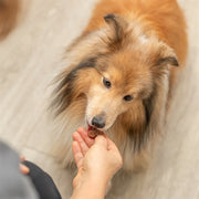 Trixie Bakmat Voor Dierensnacks Botvorm Bpa Vrij Grijs