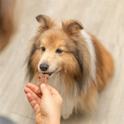 Trixie Bakmat Voor Dierensnacks Botvorm Bpa Vrij Grijs