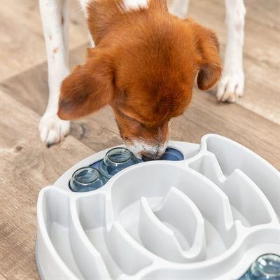Trixie Dog Activity Slide & Feed