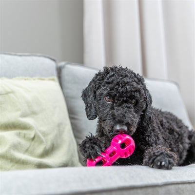Trixie Dumbell Soft & Strong Tpr Roze
