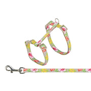 Trixie Kattentuigje Met Riem Bloemen Motief Assorti 27-45X1 Cm