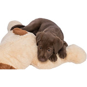 Trixie Knuffel Hondbenny Pluche Beige / Bruin