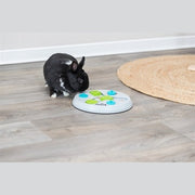 Trixie Slide&Funboard Kunststof