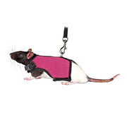 Trixie Softtuig Met Riem Voor Ratten Assorti