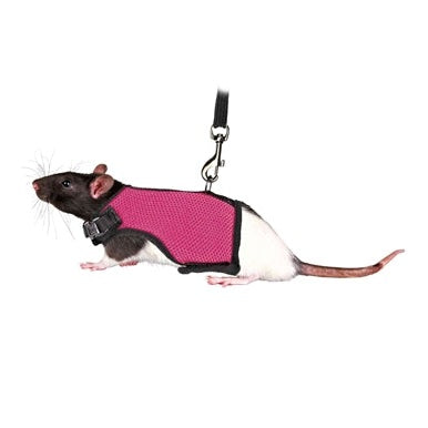 Trixie Softtuig Met Riem Voor Ratten Assorti
