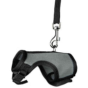 Trixie Softtuig Met Riem Voor Ratten Assorti