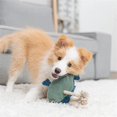 Trixie Vis Leer Met Touw