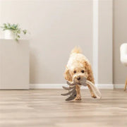 Trixie Visgraat Leer Met Touw