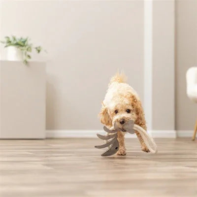 Trixie Visgraat Leer Met Touw