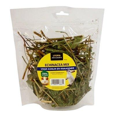 Utopia Echinacea Mix