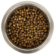 Yourdog Dwerg- Of Toypoedel Pup