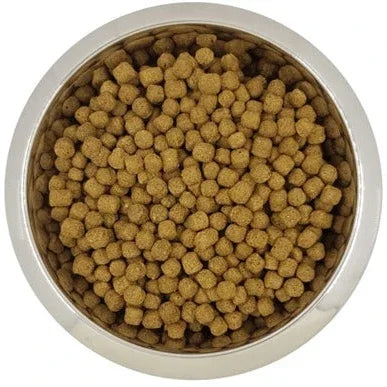 Yourdog Dwerg- Of Toypoedel Volwassen