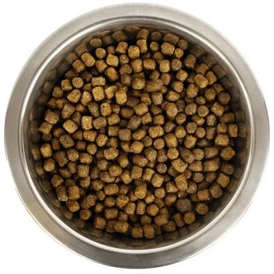 Yourdog Koningspoedel Pup