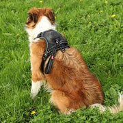 Zolux Easyride Hondentuig Zwart