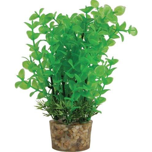 Zolux Ornament Pastic Plant Op Stenen Neutraal Assorti