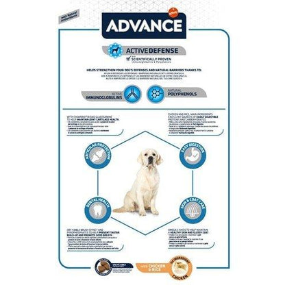 Advance Maxi Adult 14 KG - Dogzoo