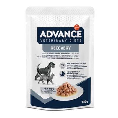 Advance Veterinary Diet Dog / Cat Recovery 11X100 GR - Dogzoo