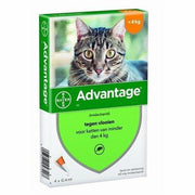 Bayer Advantage Kat