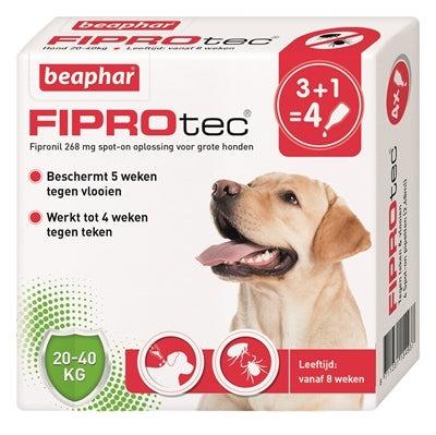 Beaphar Fiprotec Hond Tegen Teken En Vlooien-HOND-BEAPHAR-20-40 KG 3+1 PIP (390179)-Dogzoo