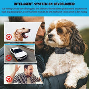 Beste anti blafband dierenvriendelijk - Trillen - Oplaadbaar - Waterdicht - Kwaliteit