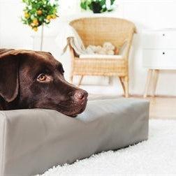 Bia Bed Hondenmand Original Taupe