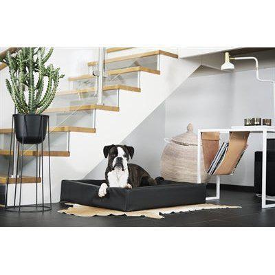 Bia Bed Hondenmand Zwart-HOND-BIA BED-BIA-100 120X100X15 CM (28891)-Dogzoo
