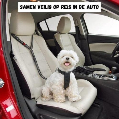 Dogzoo verstelbare autogordel autoriem via hoofdsteun voor de hond - Dogzoo